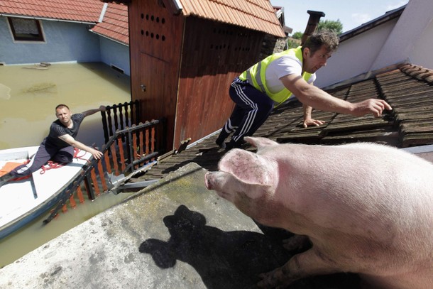 BALKANS-FLOOD/