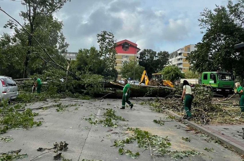 Stabla su padala po ulicama