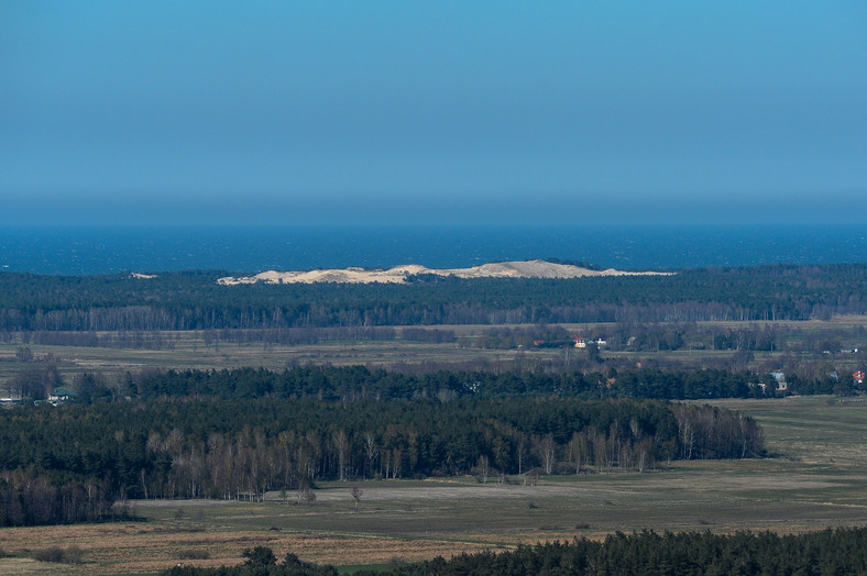 Wydma Czołpińska widziana z wieży widokowej na wzgórzu Rowokół