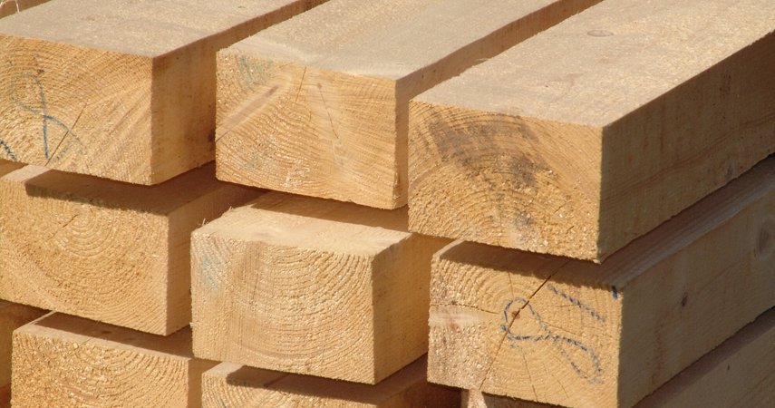 Problemas en la industria de la madera.  ‘Desastre nos espera’