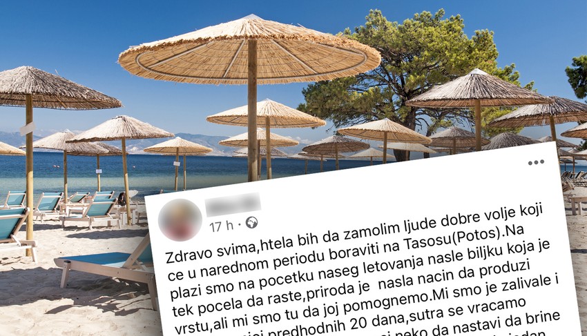Žena zamolila turiste da brinu o biljci koja je samonikla na plaži