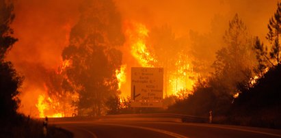 Znowu wielki pożar. Płoną lasy w Portugalii. Nie żyją 62 osoby