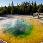 Yellowstone