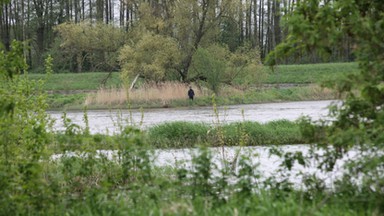 Wierny pies pilnował swojego pana do końca. Nie potrafił mu pomóc