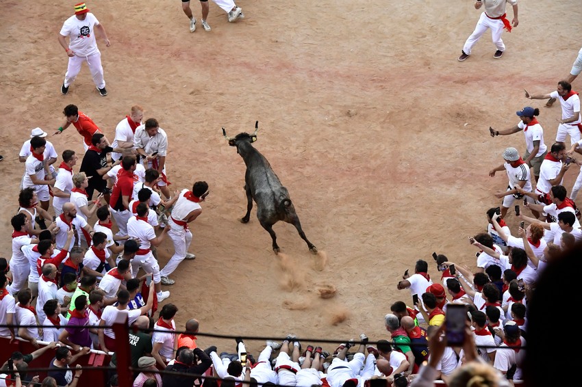 Trka bikova, Pamplona