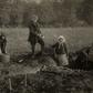 Dzieci przed szkołą i po lekcjach często pracowały w polu. Na zdjęciu kopcowanie ziemniaków w majątku Kleszczyńskich, data nieznana.