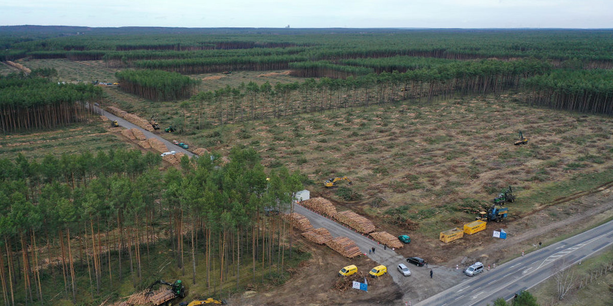 Przygotowania do budowy gigafabryki Tesli w Niemczech zostały tymczasowo wstrzymane w połowie lutego. Firma otrzymała już zgodę sądu na dalszą wycinkę drzew.