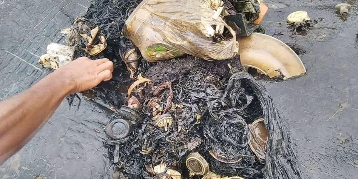 Martwy wieloryb na plaży. Miał w żołądku 6 kg plastiku!