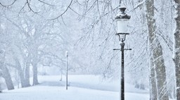 ferie zimowe 2026 wystartowały. o tych obowiązkach muszą pamiętać orga