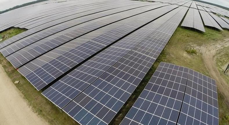 A general view shows solar panels used to produce renewable energy at the photovoltaic park in Cestas, southwestern France, June 19, 2015. REUTERS/Regis Duvignau