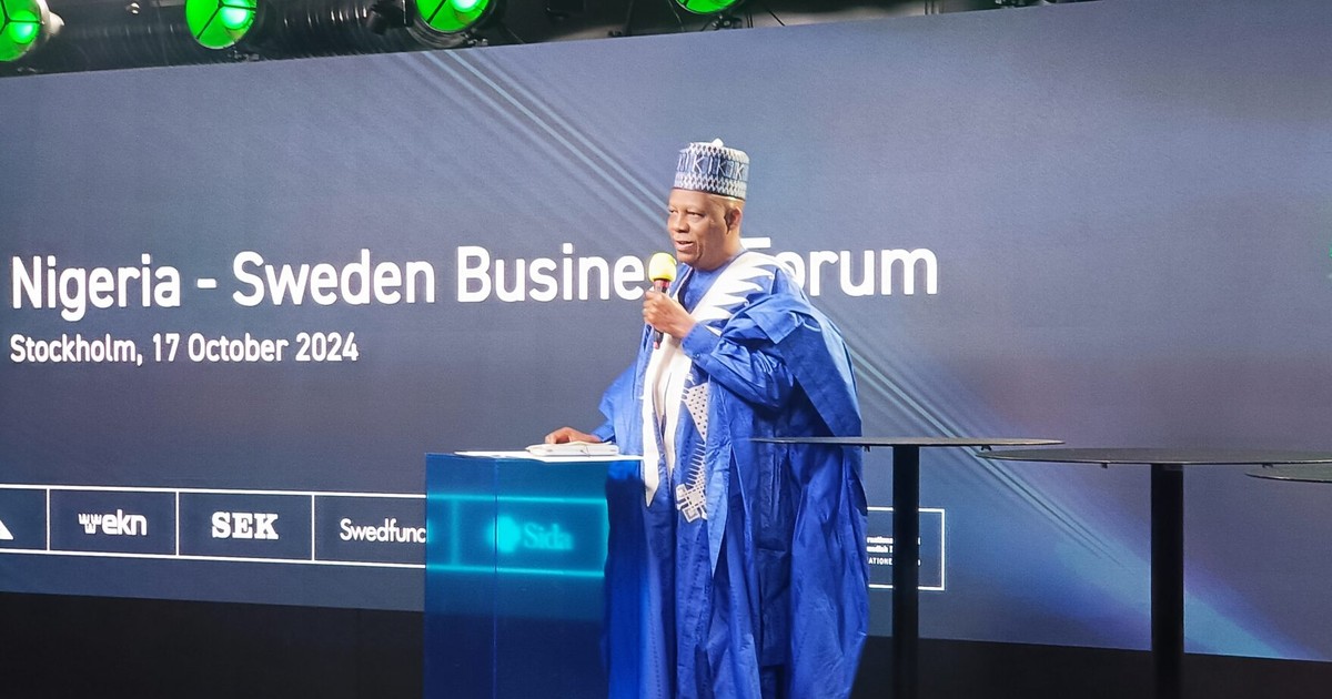 Nigeria ready for business Shettima woos Swedish investors Pulse