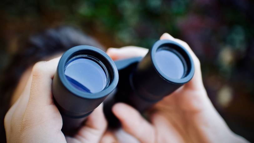 Ferngläser ab 5x-Vergrößerung im Vergleich: zum in die Ferne Schweifen
