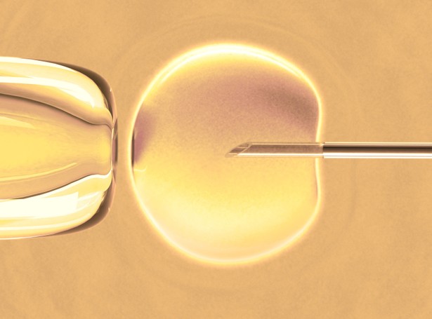 Lista zaniedbań, czyli in vitro po polsku. Lekarz odrzucił dawczynię, "bo jakaś dziwna była"