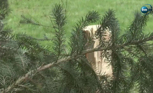 Uszkodzono 33 drzewa na posesji ministra J. Szyszki. Policja szuka sprawców