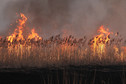 Pożar w Biebrzańskim Parku Narodowym