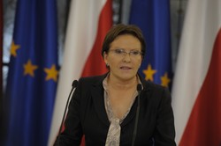 Kopacz: Platforma za utrzymaniem praw działkowców