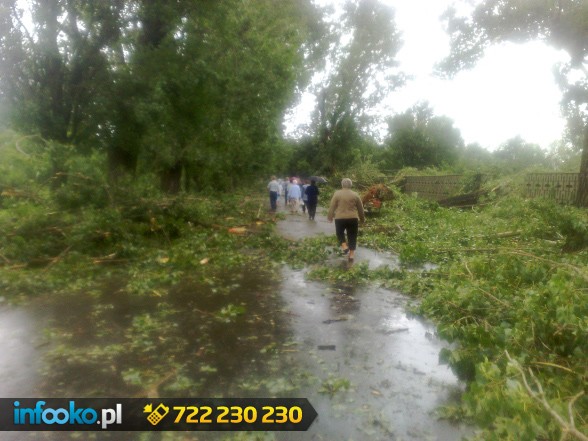 Zalany cmentarz w Legnicy