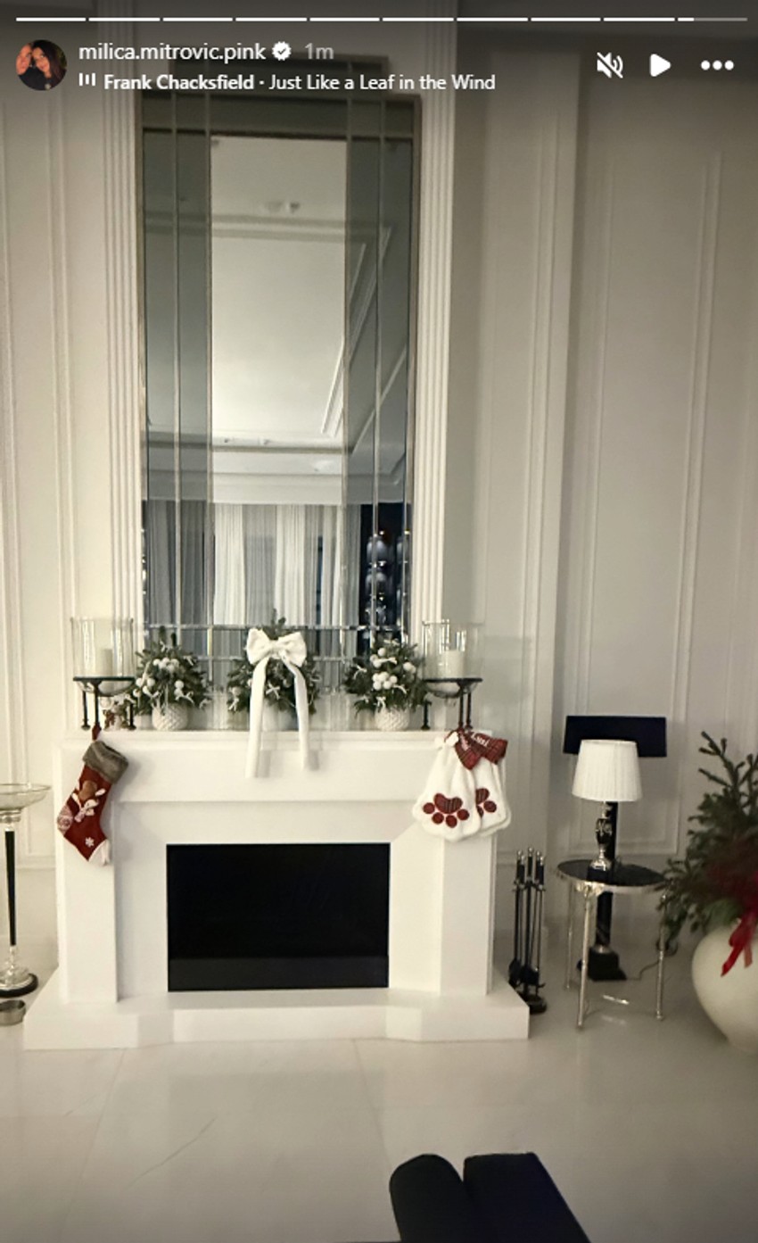 Milica Mitrović pokazala deo vile