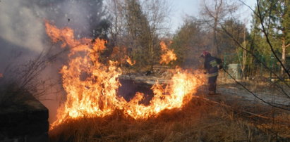 Strażacy apelują: Nie wypalajcie traw!