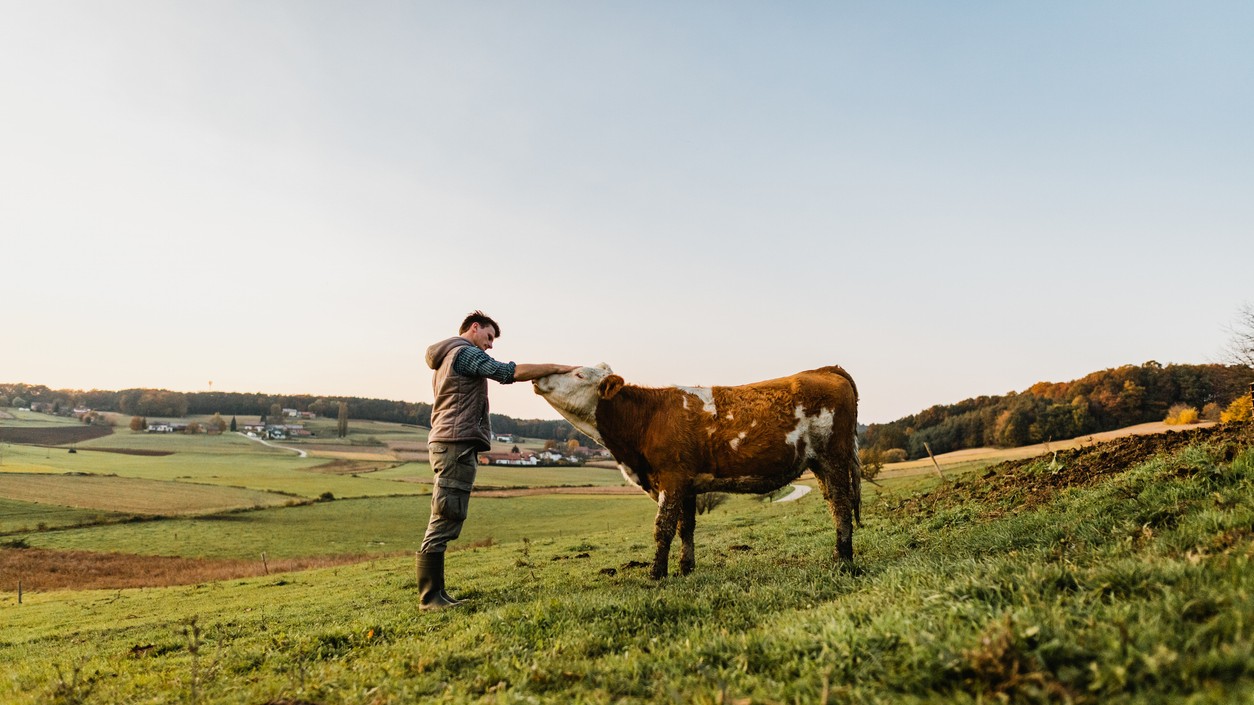 V Dánsku objavili nebezpečnú nákazu. (Ilustračný obrázok)