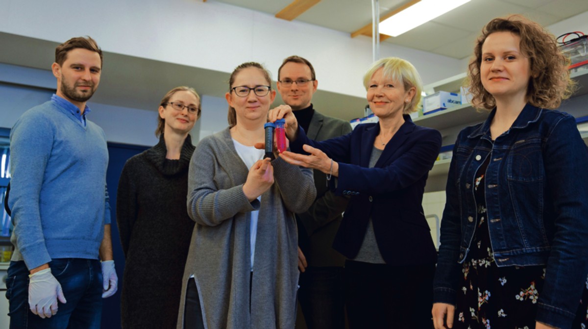 Naukowcy z SGGW: dr Sławomir Jaworski, dr Anna Hotowy, dr Marta Grodzik, dr Mateusz Wierzbicki, prof. Ewa Sawosz Chwalibóg, dr Marta Kutwin