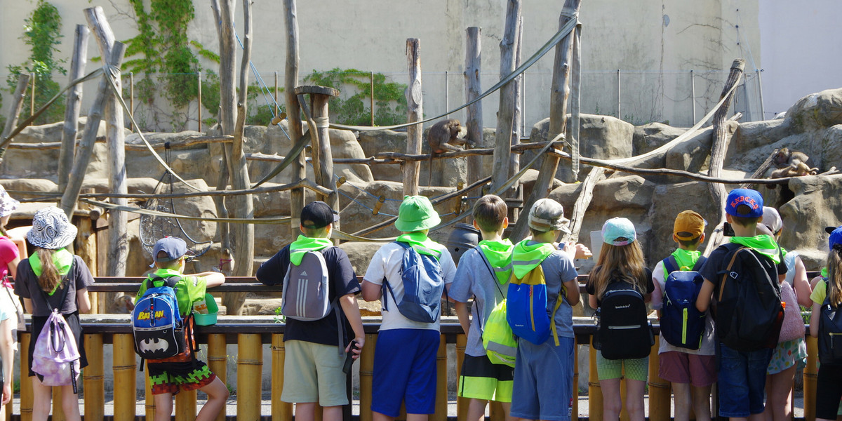 Jedna wizyta w zoo może uderzyć po kieszeni
