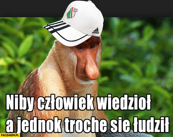 Memy po meczu Legia - Napoli