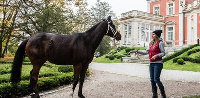 Miała zginąć w rzeźni, a zostanie mamą