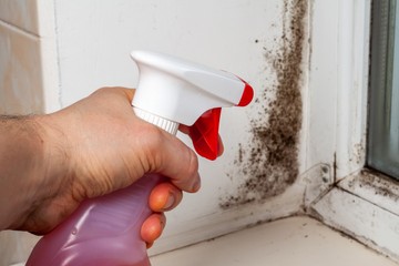 Penészallergia: az otthonunk is megbetegíthet - ezt tanácsolja az allergológus