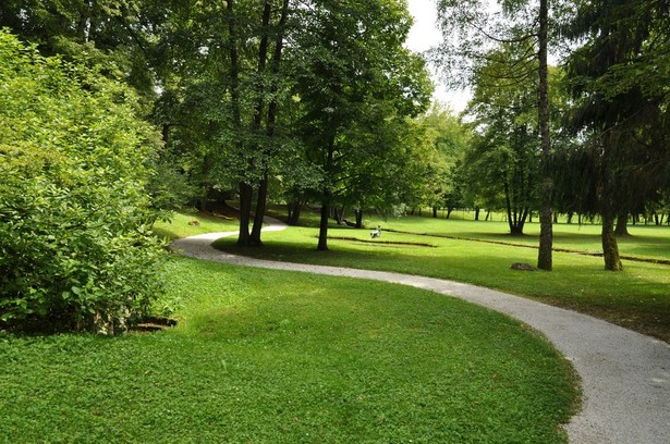 Park, uzdrowisko