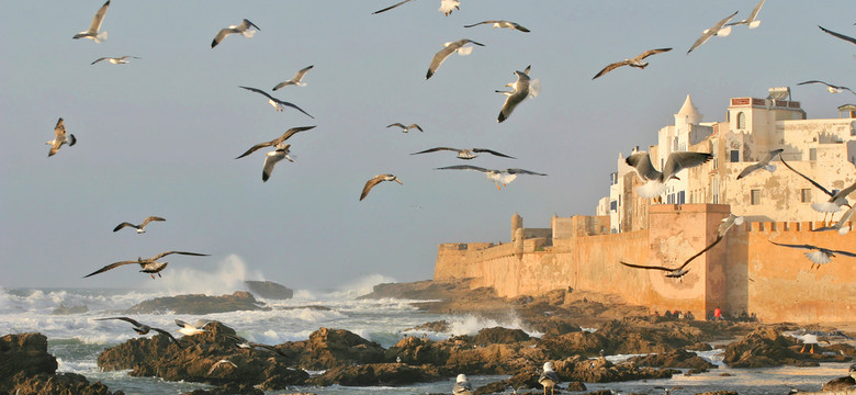 Essaouira - wakacje z rewolucją