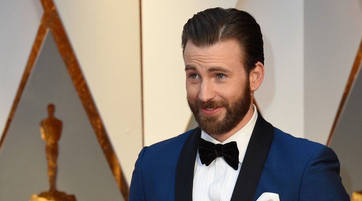 Chris Evans az örökbefogadást népszerűsítené (Fotó: AFP)