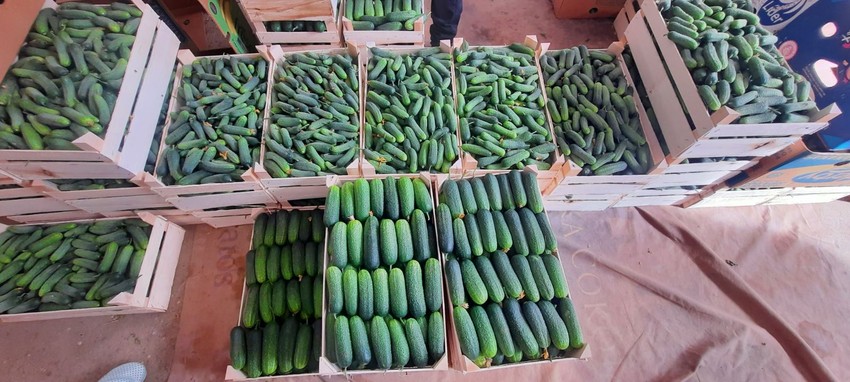 Gazdinstvo Petković