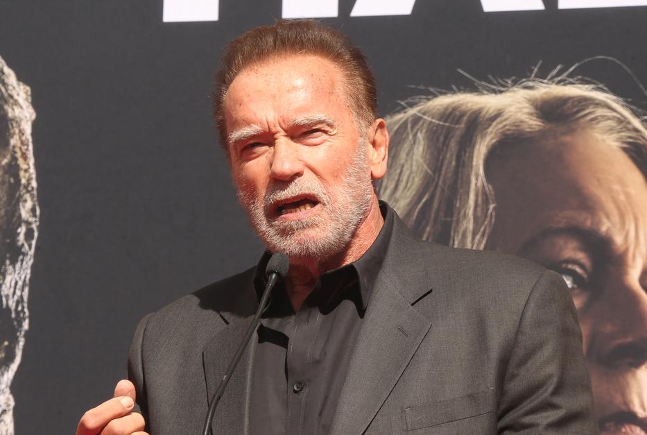 Arnold Schwarzenegger / Fotó: Northfoto