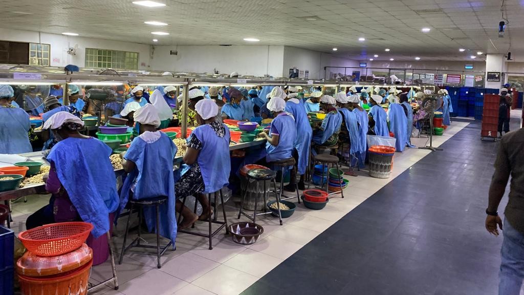 OIKOCREDIT invest USD$3.5m in Valency Agro Nig. Ltd. to expand cashew processing and export; support girl child education - Vimarsana News