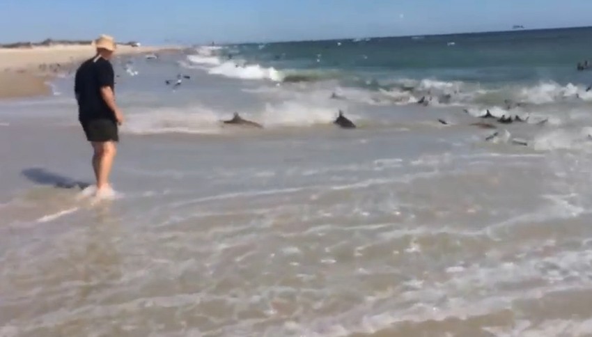 Muškarac iznenađen prizorom