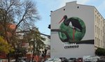 Nowy mural w Łodzi. Bocian czarny trafił na ścianę kamienicy przy ulicy Orlej. Podoba się?