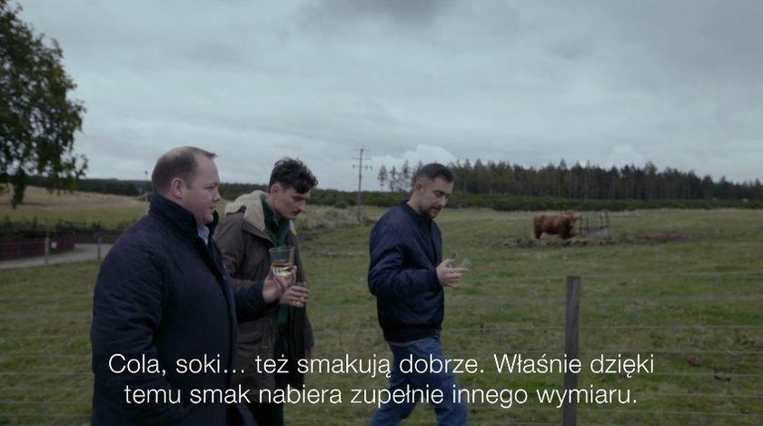 Sokół i Dawid Podsiadło