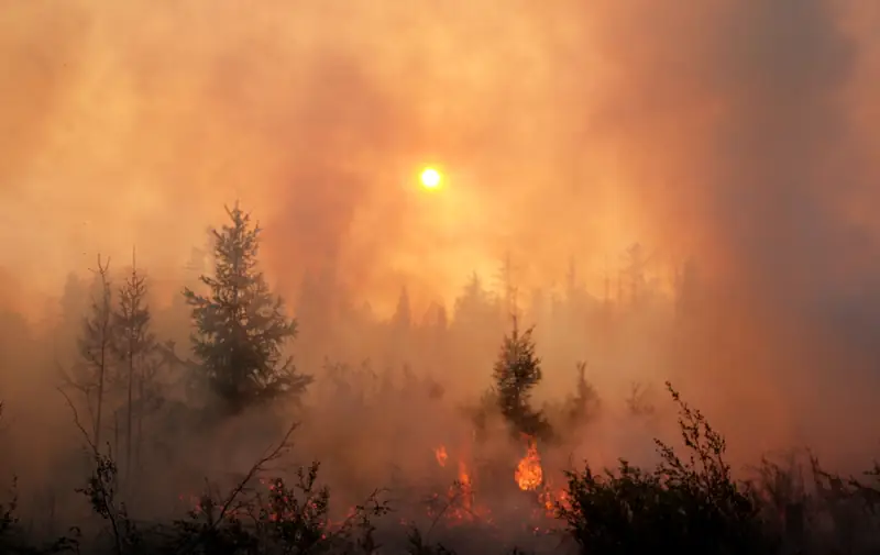 Pożary na Syberii - klimatolodzy łączą je ze zmianami klimatu