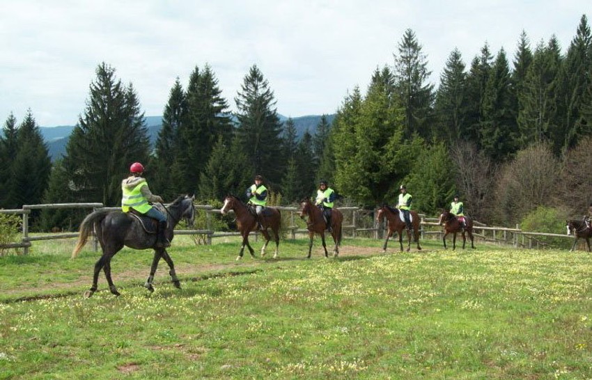 Reljef Tare je pogodan za rekreativce, a mali nagibi su idealni za jahanje