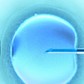 Ovum Cold Color (in vitro fertilization)