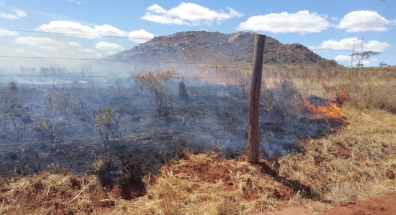 Tsavo national park on fire [KWS]