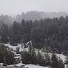 Sneg na Brezovici