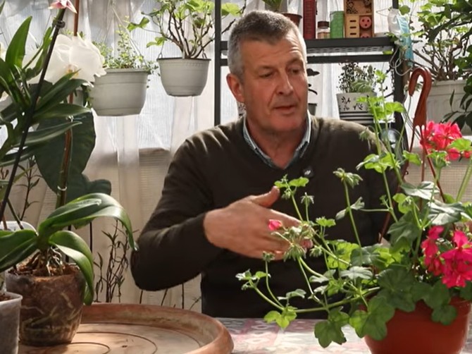 Kako birati cveće, negovati ga i izbeći najveće greške ovog proleća otkriva srpski stručnjak