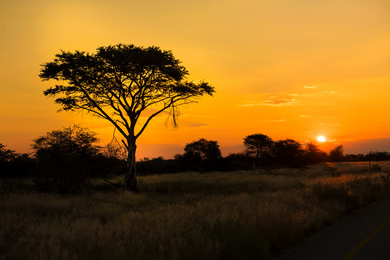 Zachód słońca - Botswana
