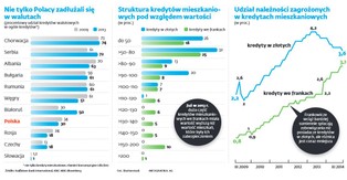 Trzęsienie ziemi dla ponad pół miliona Polaków. Komu jeszcze zaszkodzi drogi frank?