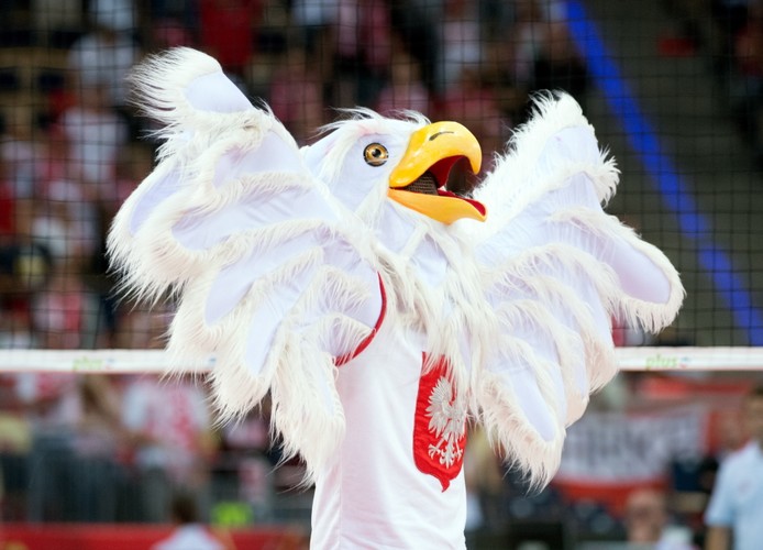 Donald Tusk nie przyniósł szczęścia siatkarzom. Polacy przegrali z USA