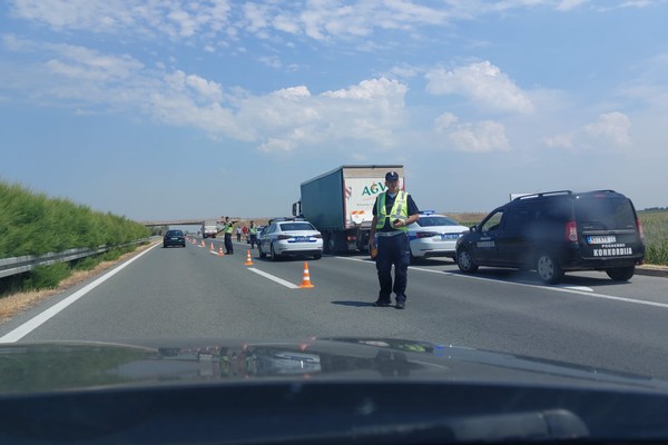 Bogojavljenje u Zemunu