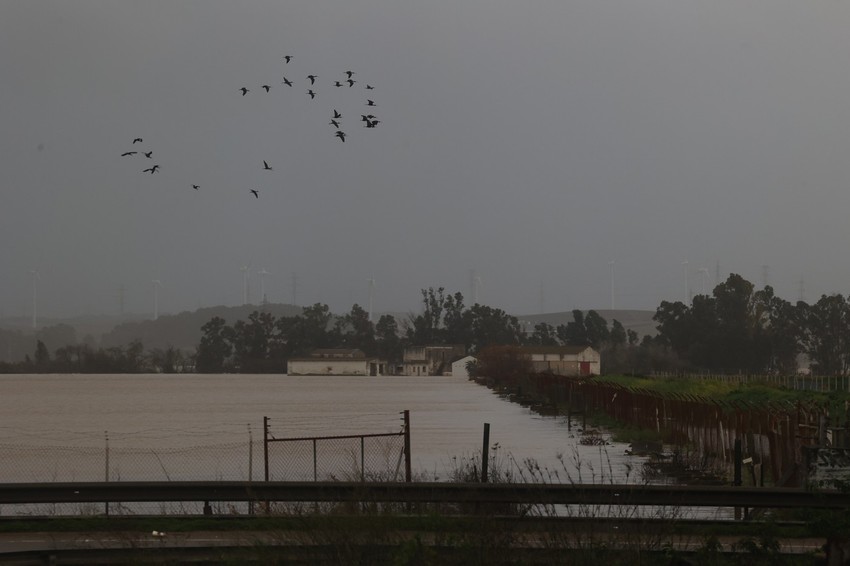 Oluja Marta u Španiji