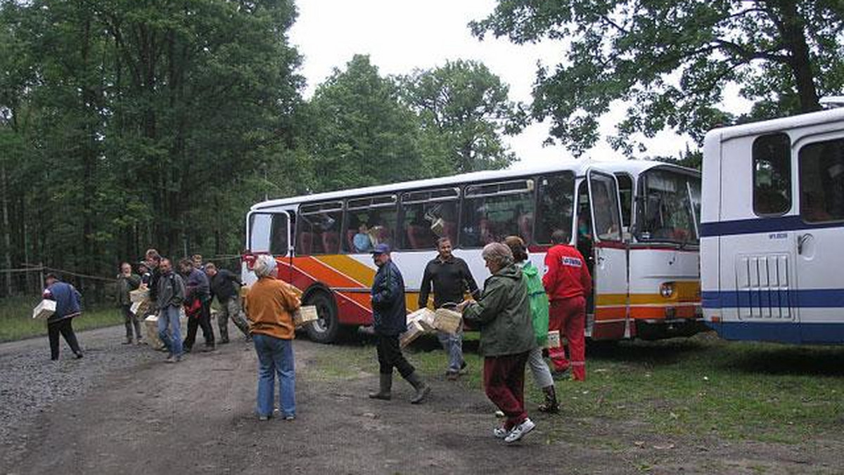 Galeria Mistrzostwa Europy w Zbieraniu Grzybów, obrazek 1